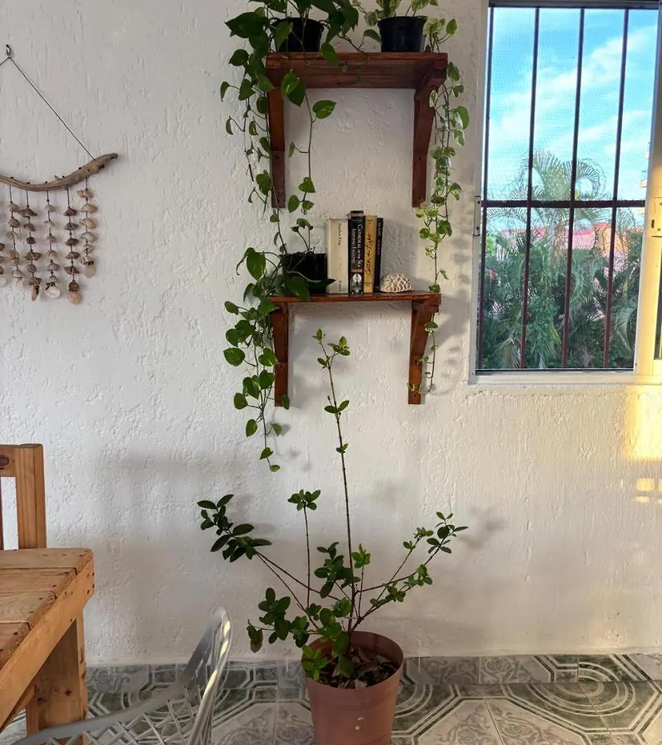 Centrally Located Apartment 2 Blocks From The Sea Cozumel